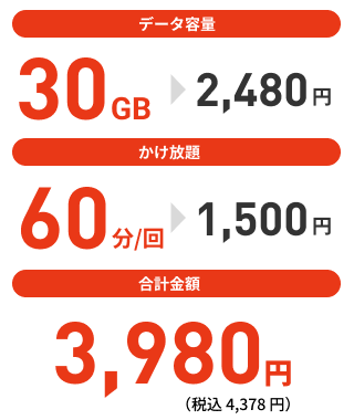 データ容量 30GB 2,480円、かけ放題 60分/回 1,500円、合計金額 3,980円（税込4,378円）