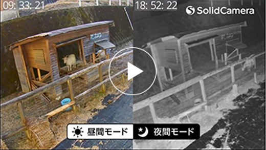 SIM防犯カメラの映像をYouTubeでライブ配信しているイメージ（昼間モード・夜間モード）